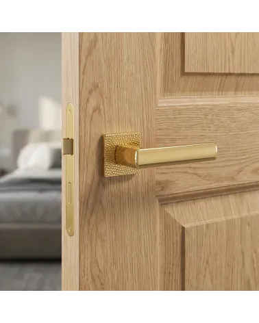 TUPAI 4161-T1 polished gold door handle, robust and elegant - MillaHandles