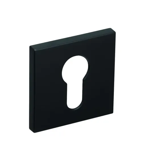 Line RFQ keyhole rose I - designer hardware