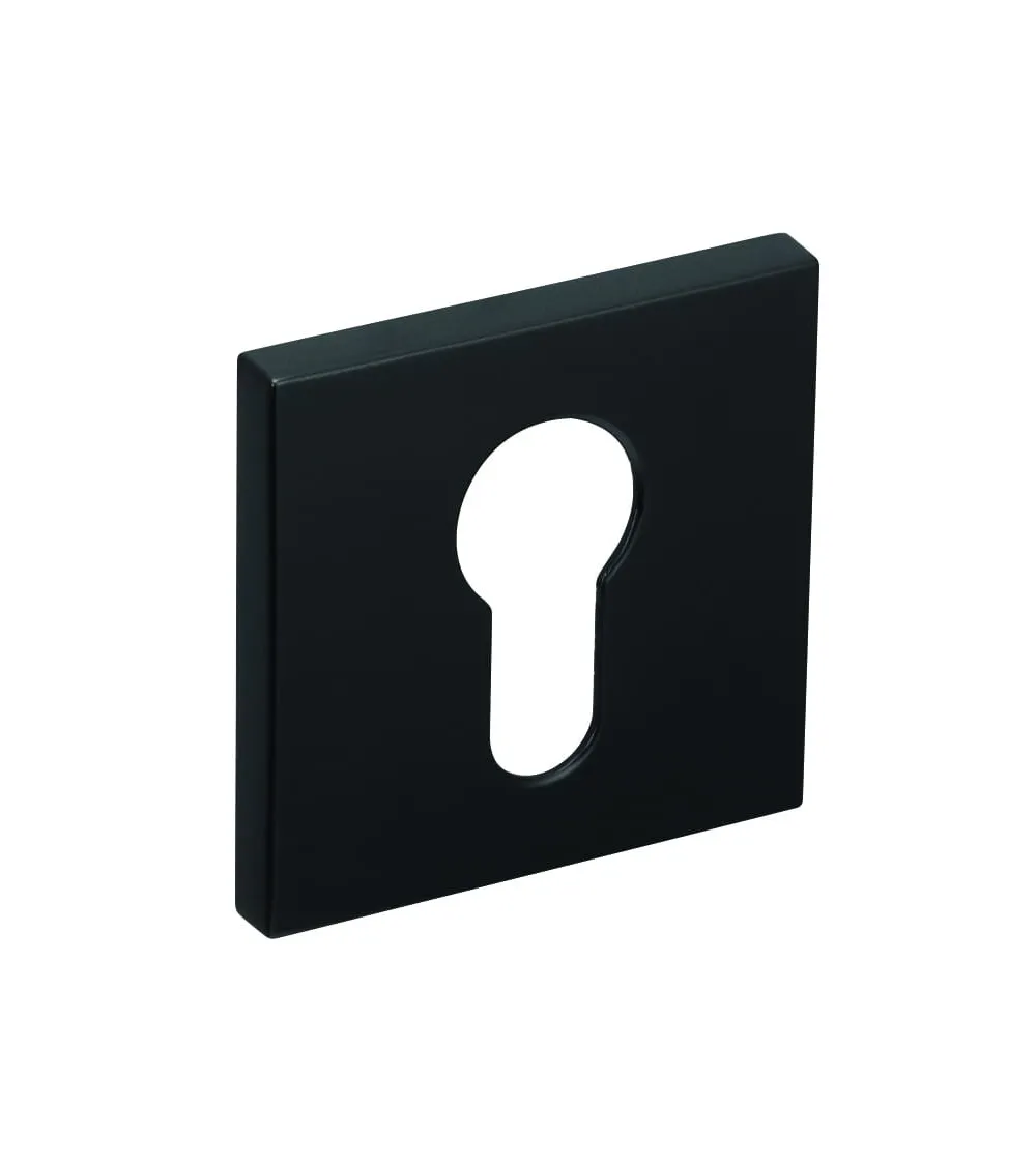 Line RFQ keyhole rose I - designer hardware