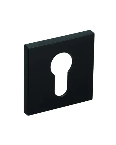 Line RFQ keyhole rose I - designer hardware