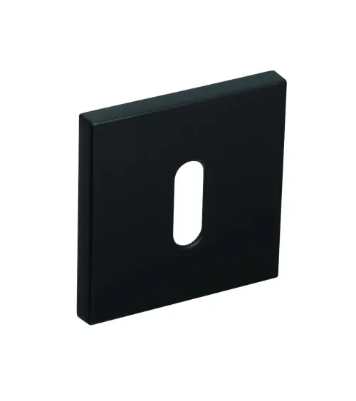 Line RFQ keyhole rose L - designer hardware