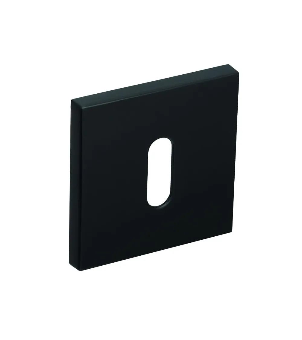 Line RFQ keyhole rose L - designer hardware