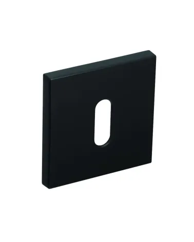 Line RFQ keyhole rose L - designer hardware