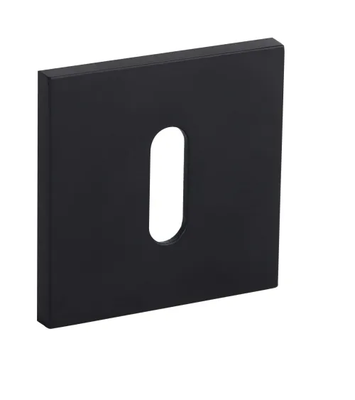 Line RYQ S Keyhole Escutcheon L - Design Hardware