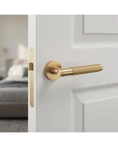 Warm and Luxurious Satin Gold Door Handle – Time Slim Model