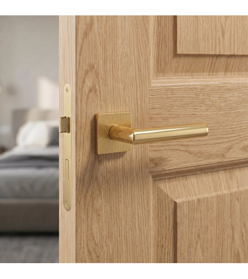 TUPAI 4002-T2 gold door handles