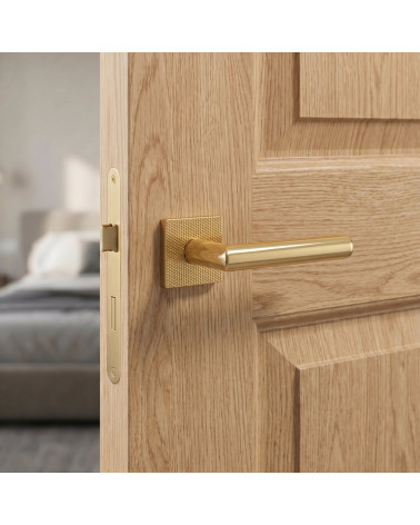 Elegant TUPAI 4002-T2 gold door handles - MillaPoignées