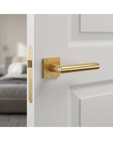 Refined and Gleaming Gold Door Handle - Model 4002-T1