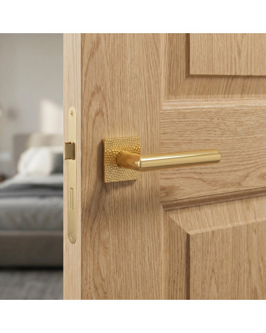 Refined and Gleaming Gold Door Handle - Model 4002-T1