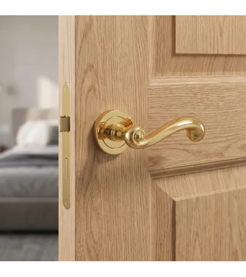 TUPAI 738 gold door handle design handle