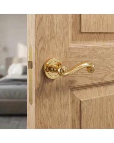 Luxurious Polished Gold Door Handle – TUPAI 738 Model