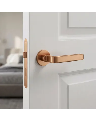 Ento Zai Modern Door Handles