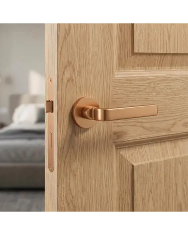 Ento Zai Modern Door Handles