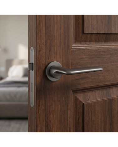 Graphite Door Handles Ento Elan