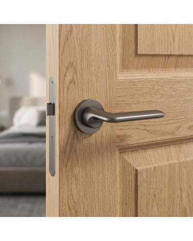 Graphite Door Handles Ento Elan