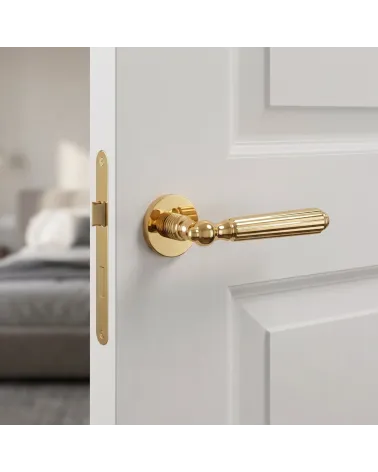 TIARELLA Polished Gold Door Handles