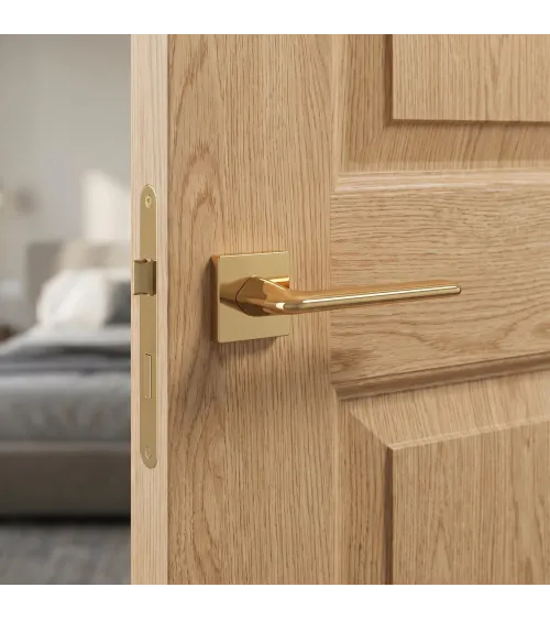 LILA polished gold door handle design handle