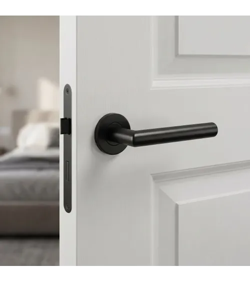 Classic door handle OVAL 1701 designer handle