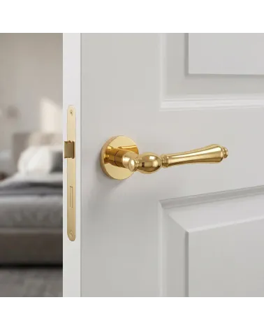 Luxurious and Refined Polished Gold Door Handle - FADO Model