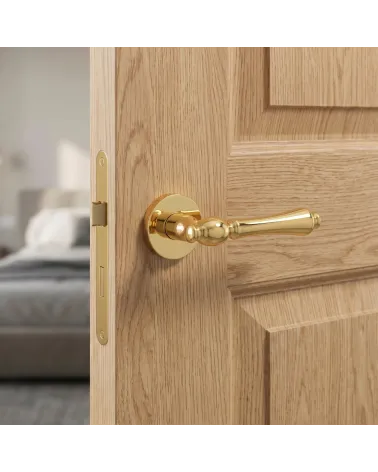 Luxurious and Refined Polished Gold Door Handle - FADO Model