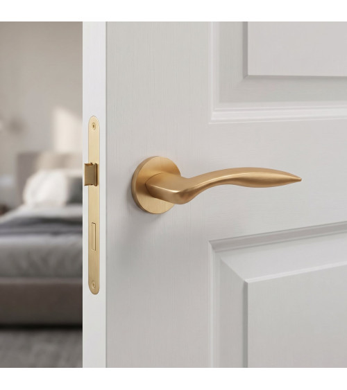 ROBINE round plate door handle design hardware