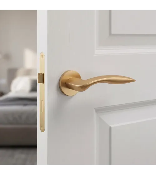 ROBINE round plate door handle design hardware
