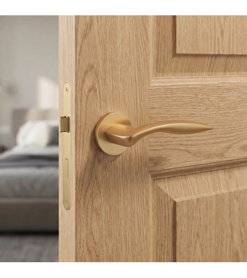 ROBINE round plate door handle design hardware