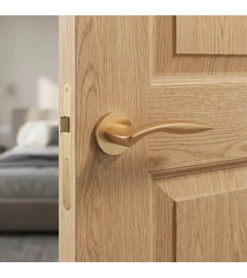 ROBINE round plate door handle design hardware