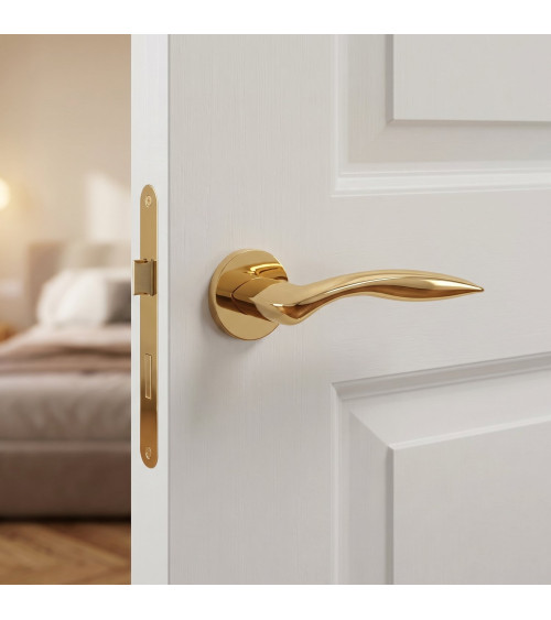 ROBINE polished gold door handle design handle