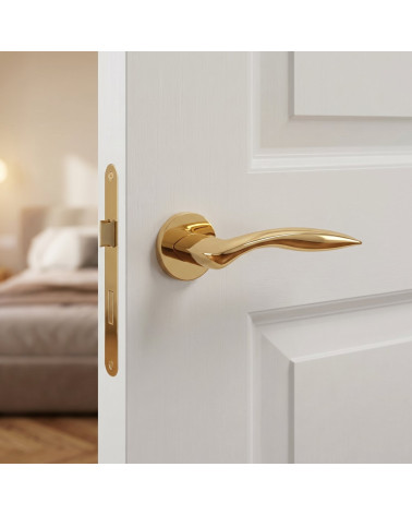 Polished Gold Door Handle for a Luxurious Look - Model ROBINE