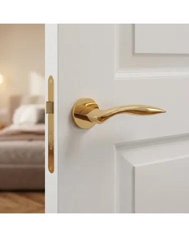 Polished Gold Door Handle for a Luxurious Finish - Model ROBINE
