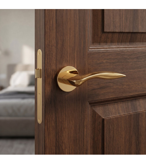 ROBINE polished gold door handle design handle