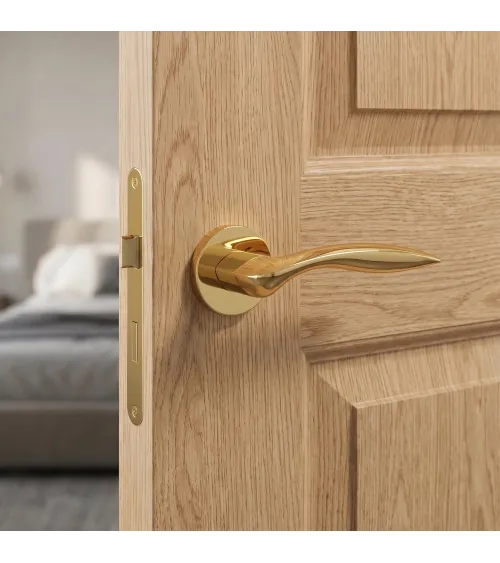 ROBINE polished gold door handle design handle