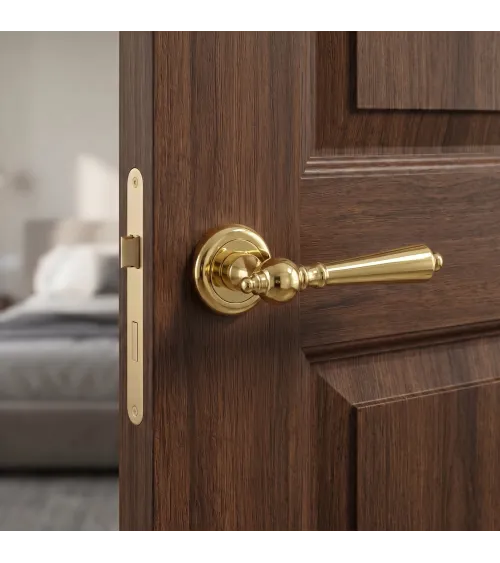 MILLENAIRE polished gold door handle design handle