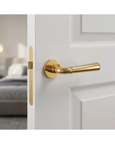 Splendid and Prestigious Polished Gold Door Handle - MARIGOLD Model