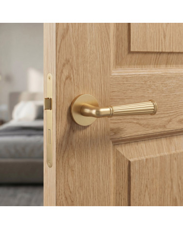 ARIDA Matt Gold Door Handle | Millapoignées