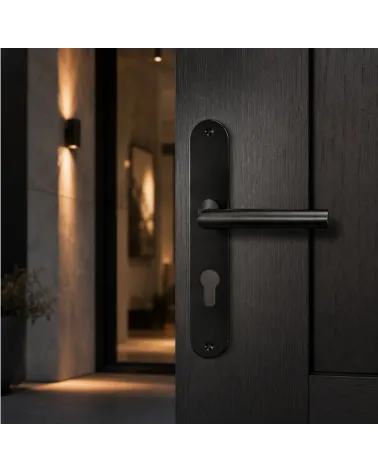 Door handle on large PVD black plate – special front door – Altesse model