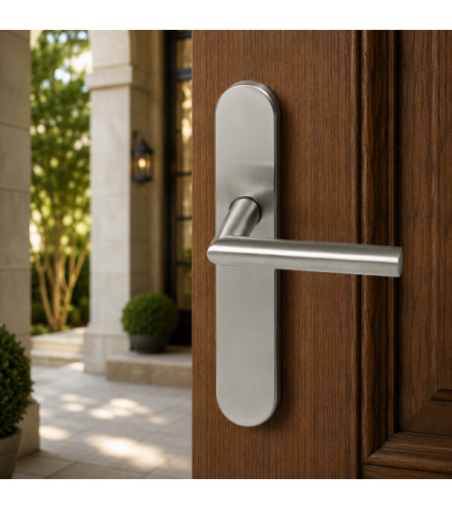 Door handle on plate Altesse Stainless Steel 316 – High resistance for outdoor environments - Altesse model