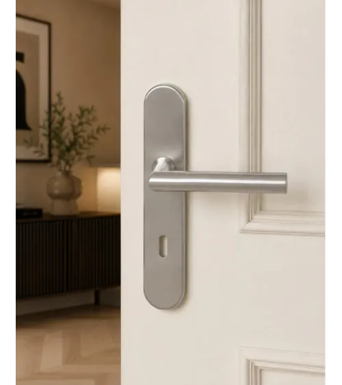 Door handle on plate 165 mm brushed stainless steel finish – Altesse model