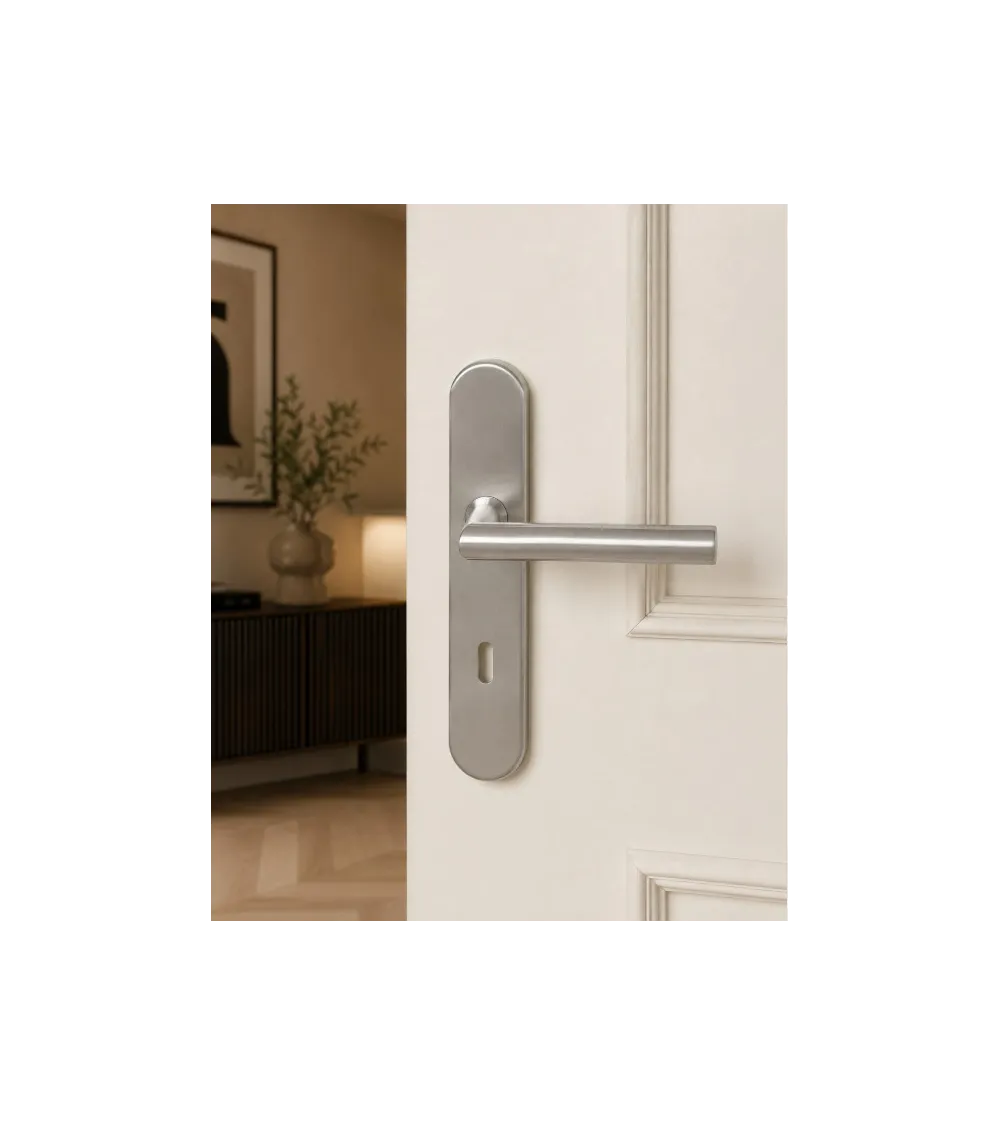 Door handle on plate 165 mm brushed stainless steel finish – Altesse model