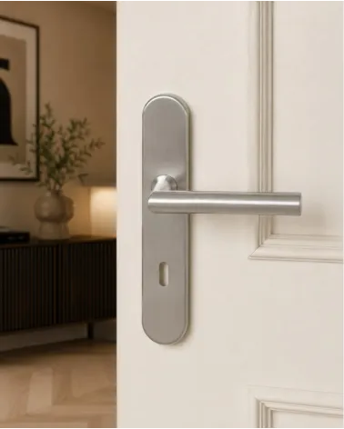 Door handle on plate 165 mm brushed stainless steel finish – Altesse model