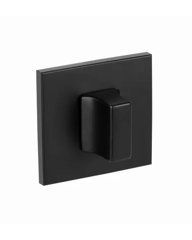 Line RYQ S WC Privacy Door Rosette with Refined Design - Millapoignees