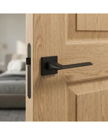 Black Door Handle for a sophisticated look — Model EVER
