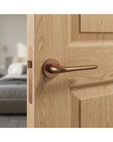 Door Handle on Round Backplate with Unique Character - AZALIA Model