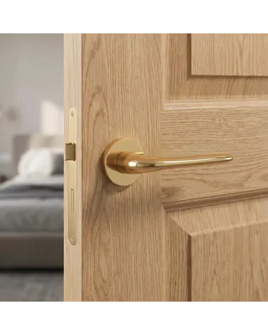 Chic Gold Door Handle for a prestigious décor – AZALIA Model