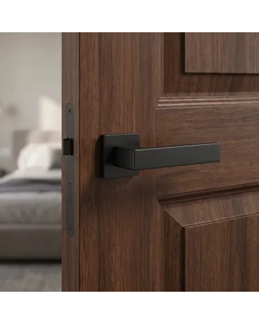 Simple and Elegant Square Backplate Door Handle - PINA Model