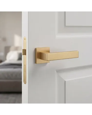 Splendid and Refined Matt Gold Door Handle - PINA Model