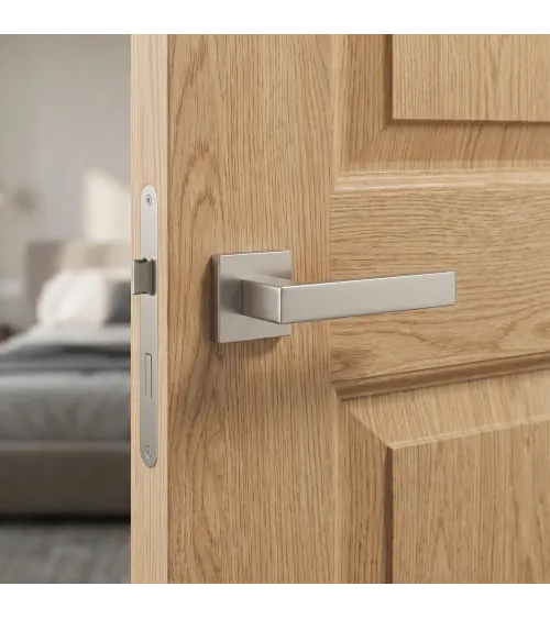 PINA satin nickel door handle design handle