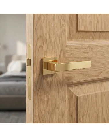 PINA polished gold square door handles