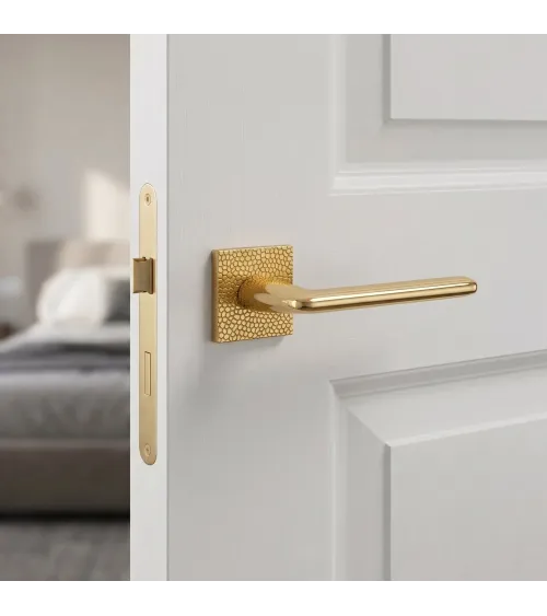 TUPAI 4165-T1 polished gold door handle design handle